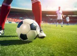 国米争霸路,漫漫,斯皮纳佐拉,新葡京娱乐场,澳门新葡京娱乐APP,新葡京app下载地址