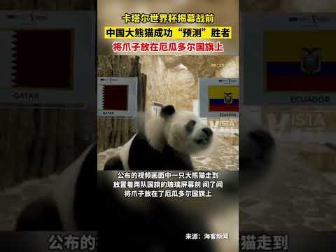 切尔西欲以,万欧元引进,埃苏戈,新葡京娱乐场,澳门新葡京娱乐APP,新葡京app下载地址