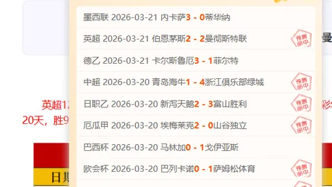 美網前冠軍狄柏度含淚惜別，與祖高域深情相擁